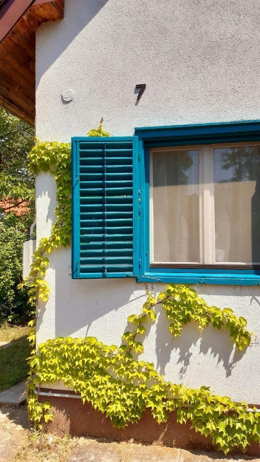 Szalakóta Ház Vila Balatongyörök Exterior foto