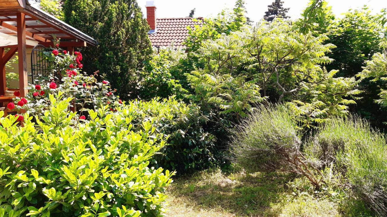 Szalakóta Ház Vila Balatongyörök Exterior foto